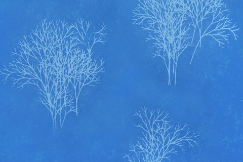 50%鉆石藍(lán)+FC湖藍(lán)