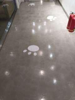 水泥自流平地面大氣實(shí)用，為什么很少家庭裝修用到它？